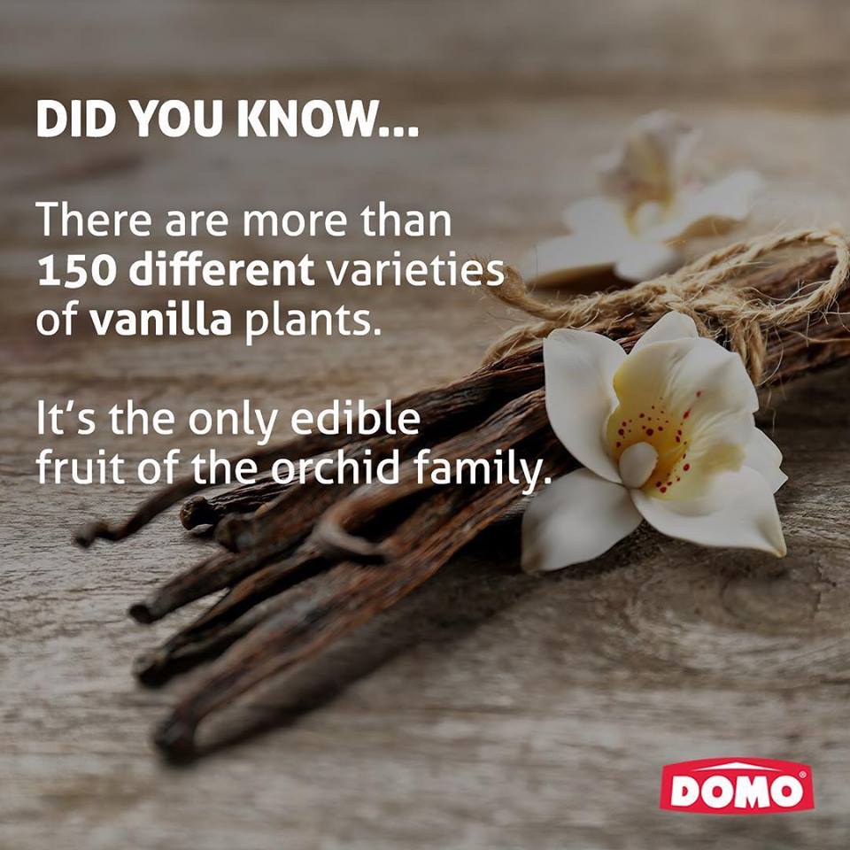 150+ Vanilla Plants